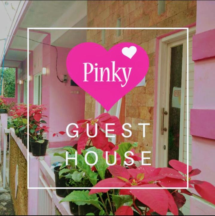 Pinky Guest House Batu Batu  Luaran gambar