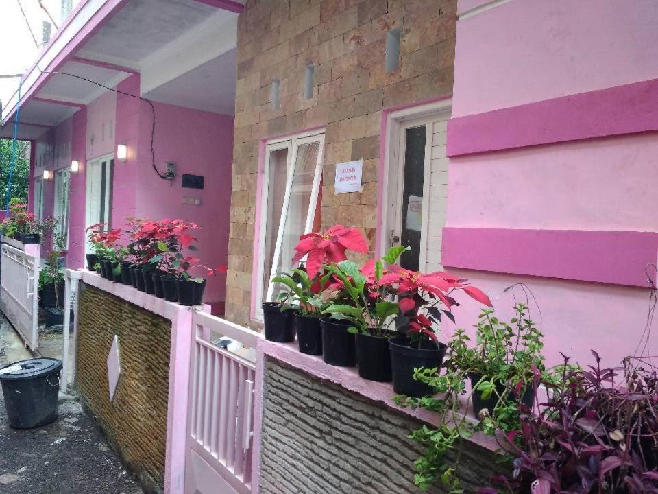 Pinky Guest House Batu Batu  Luaran gambar